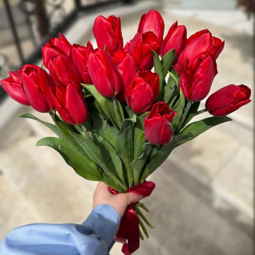 Красные тюльпаны 19 штук