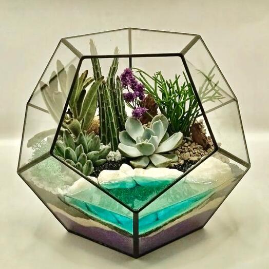 Florarium with succulents and Oasis in the Desert lake