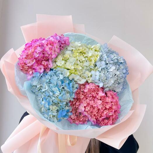 Микс из гортензии