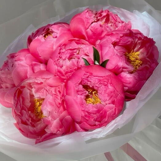 Coral charm peony