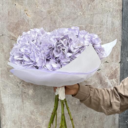 Lavander Hidrangea