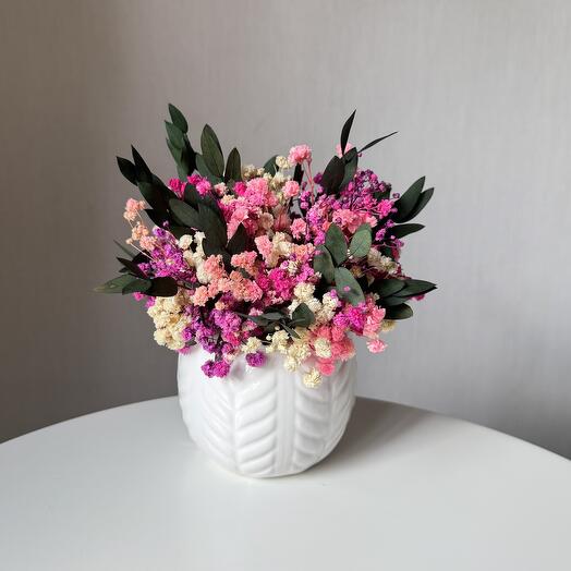 Композиция со стабилизированной гипсофилой и эвкалиптом