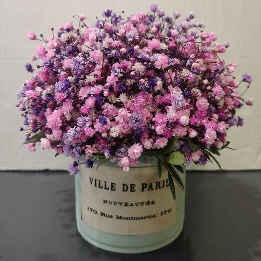 Розово-сиреневая гипсофила