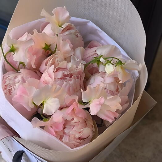 Peonias delicado