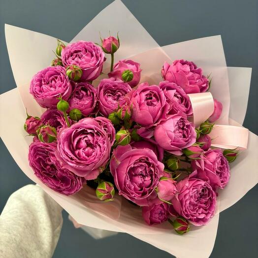 Пионовидная кустовая роза  Мисти Баблс