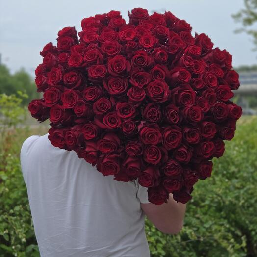 101 rosas rojas 70-80 cm