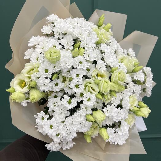 Chrysanthemum l size