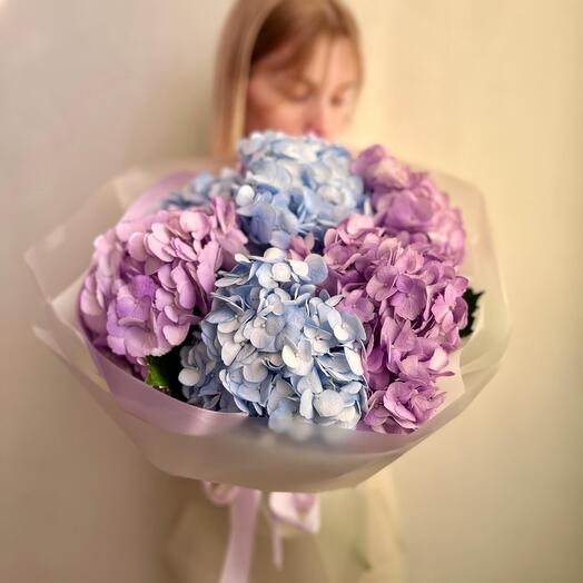 Букет гортензий, 7 шт, арт 57 Flower Perfect