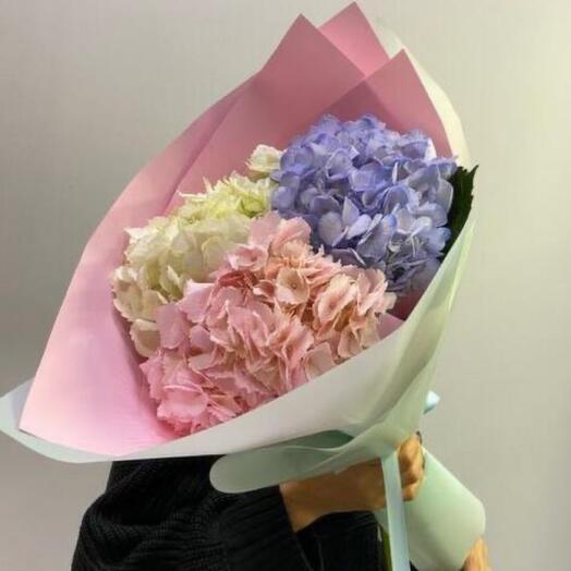 Hydrangea mix