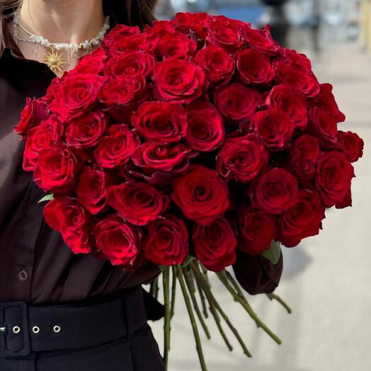 51 красная роза сорт Эксплорер 60 см Эквадор