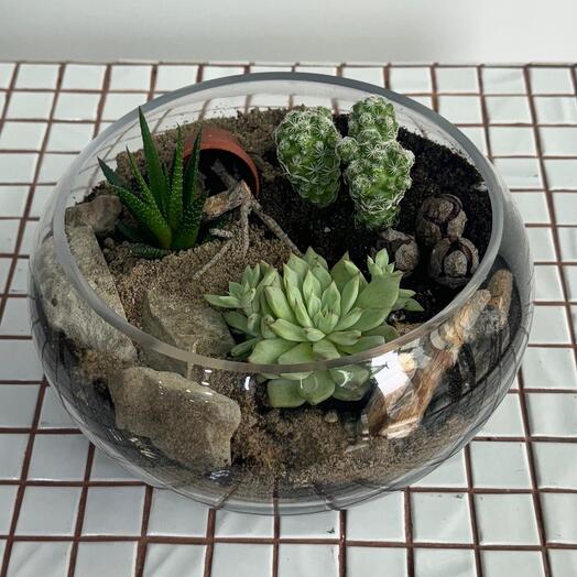 Настольный мини-террариум
