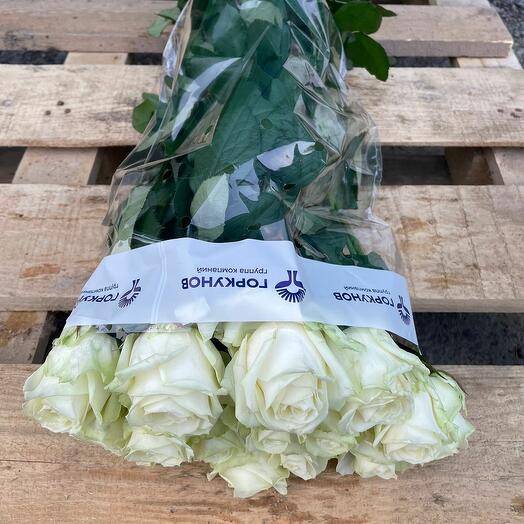 Пачка (15 штук) роз 40 см, Аваланж