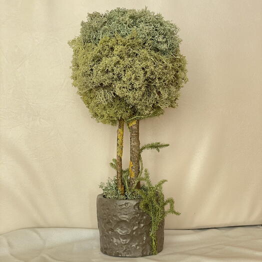 Топиарий из стабилизированного мха