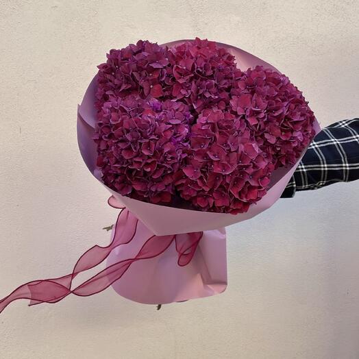 Buket od 5 temna hortentzija