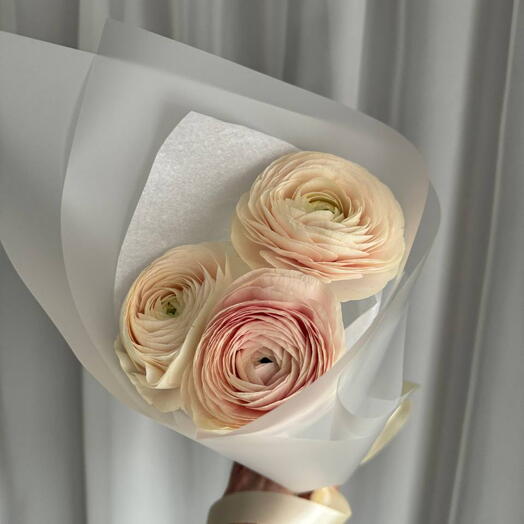 Ранункулюсы 3