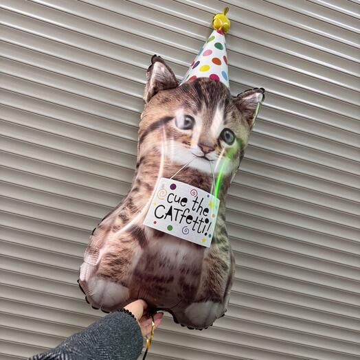 Воздушный шар котенок в колпаке