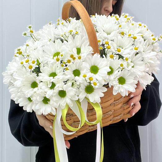 Корзина «Чик»
