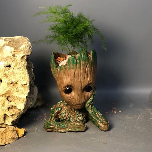 Кашпо Грут с аспарагусом подарок