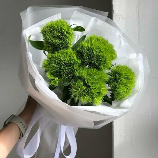 Диантус Киви Green Trick (S)