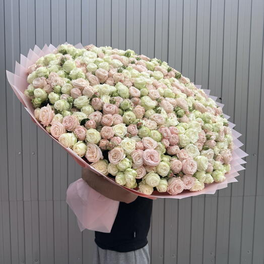 Кустовая Роза Пионовидная 💝