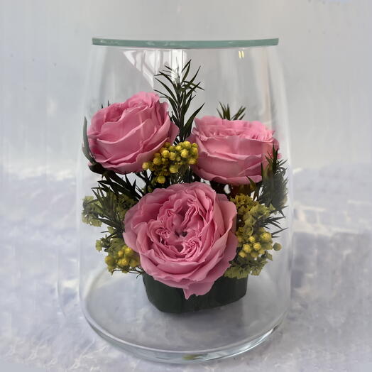 Натуральные цветы в стекле, вакуум (RF2.5550pi)