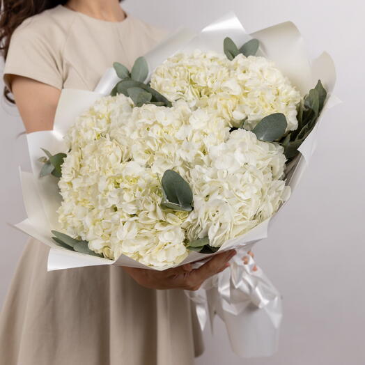 7 белых гортензий Premium White с веточками эвкалипта