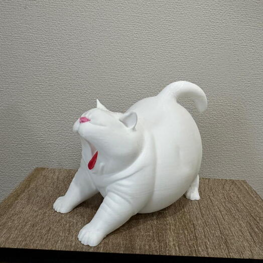 Белый кот