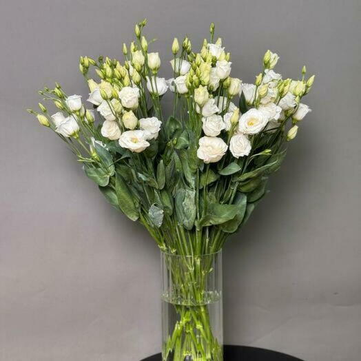 White Lisianthus