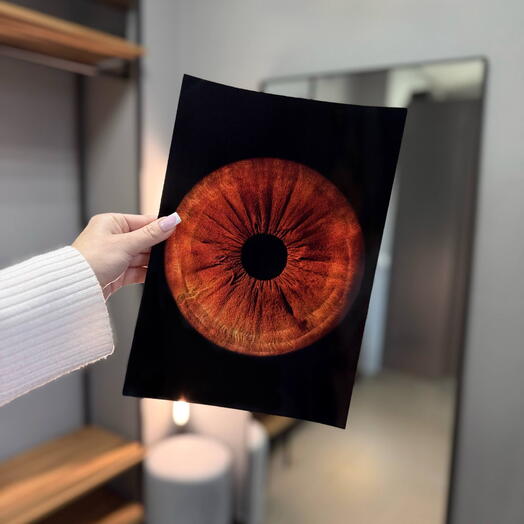 Одиночная фотосессия радужки глаза А4