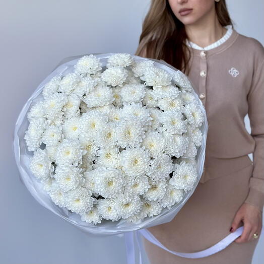 Хризантема Алтай 15 в белом цвете