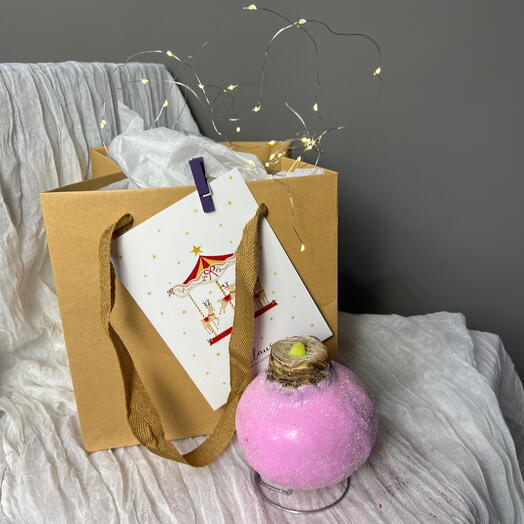 Большая Луковица амариллиса в блестящем воске