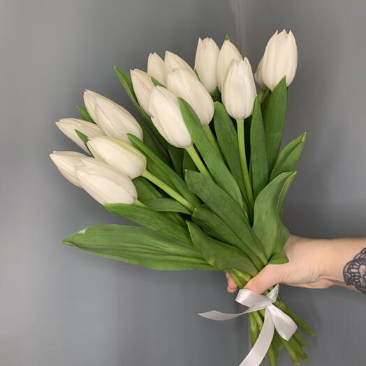 Тюльпаны белые 15