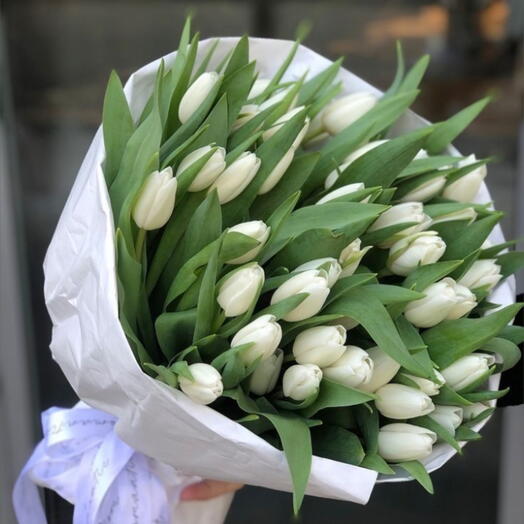 Букет из белых тюльпанов «Чистая нежность» 🤍