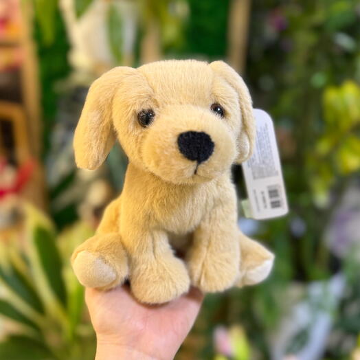 Миленькая Собачка