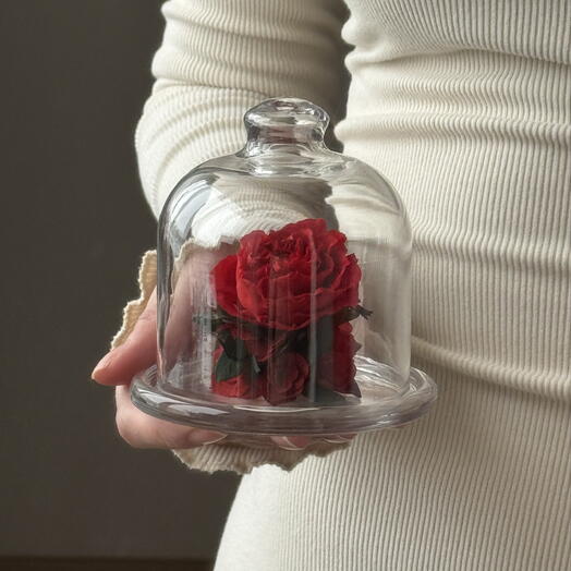 Композиция в колбе со стабилизированной розой на 14 февраля