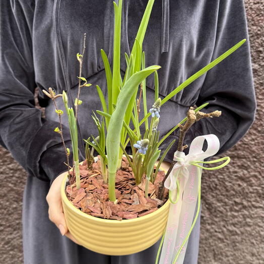 Мини сад размера М