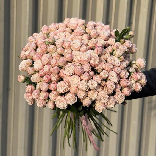spray
 roses