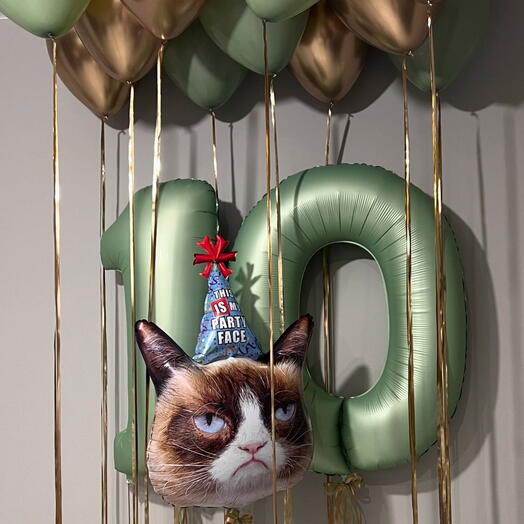 Набор воздушных шаров Сердитый кот на 10 лет