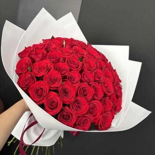 Роза красная 51 классика