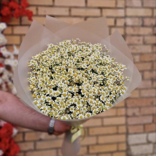 Букет из ромашек