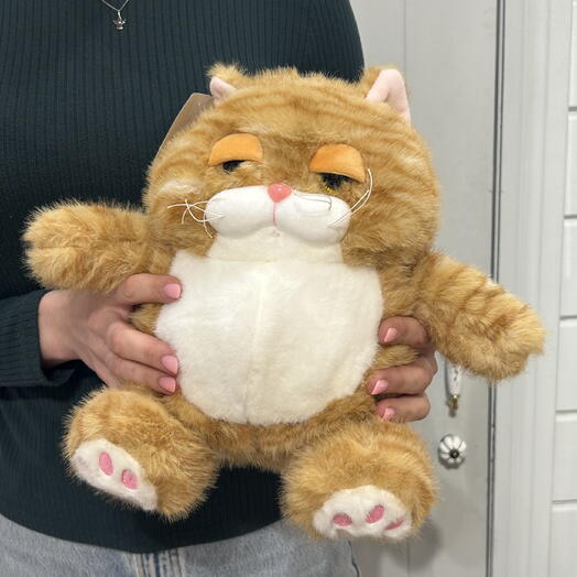 Рыжий кот