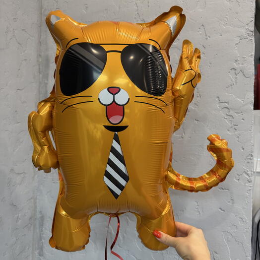 Шар кот в очках