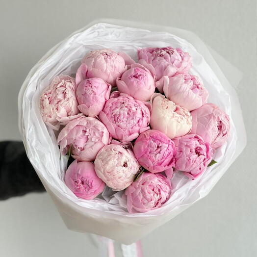 Peony love