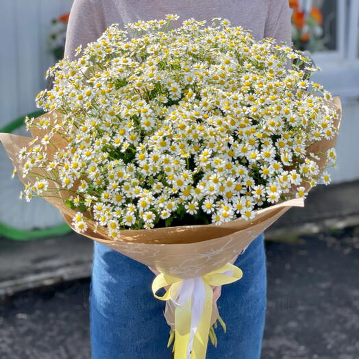 Букет из ромашек
