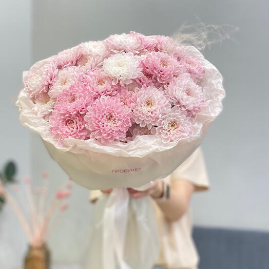 Хризантемы розовые алтай со стифой 🌸🌸🌸