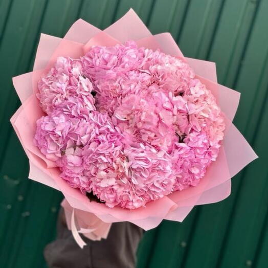 Pink hydrangeas