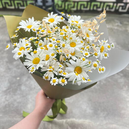 РОМАШКИ🌿