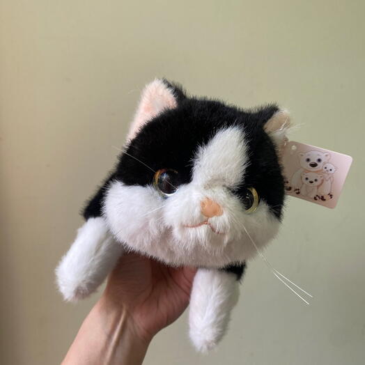 Котик