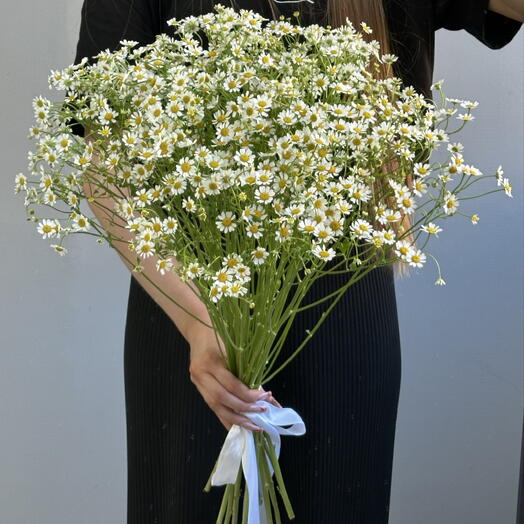 Монобукет из 15 веток ромашки🌼