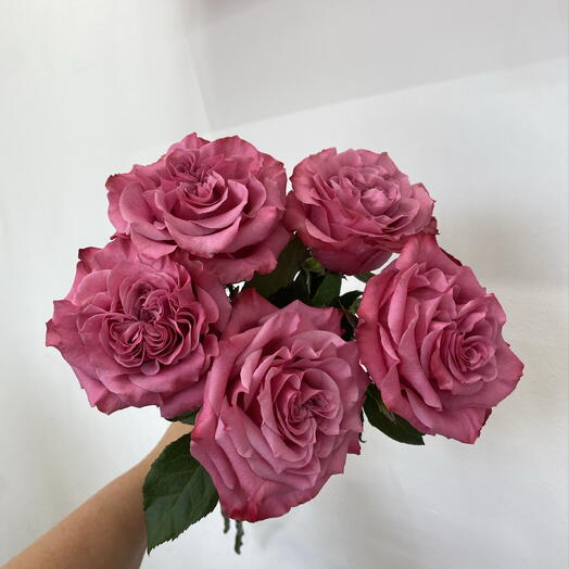 Яркий букет из 5 роз 🩷Кантри Блю💜 под ленту